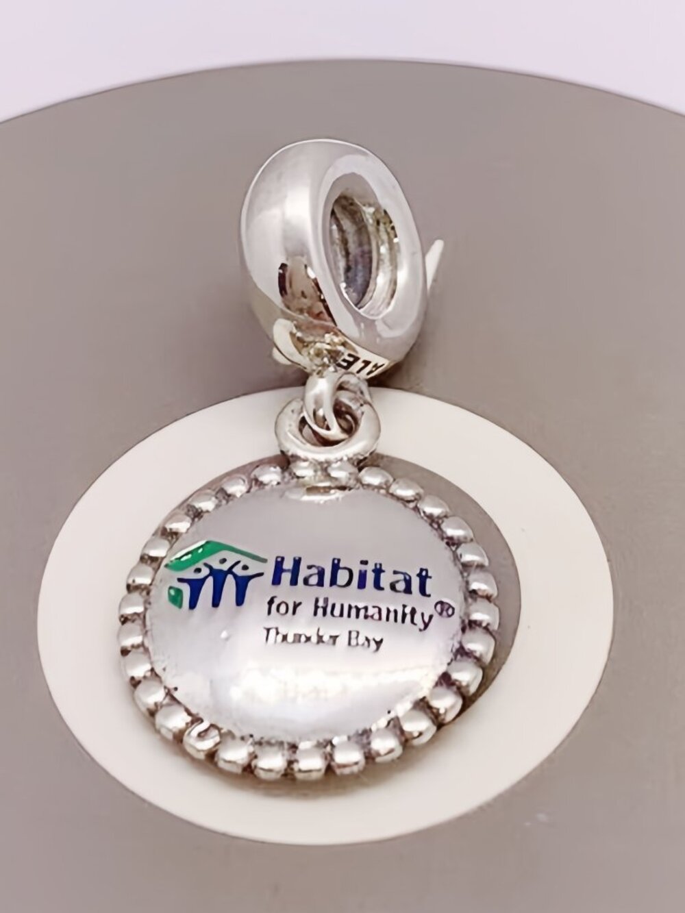 Pandora Habitat For Humanity Thunder Bay Charm  S925 ALE Sterling Silver